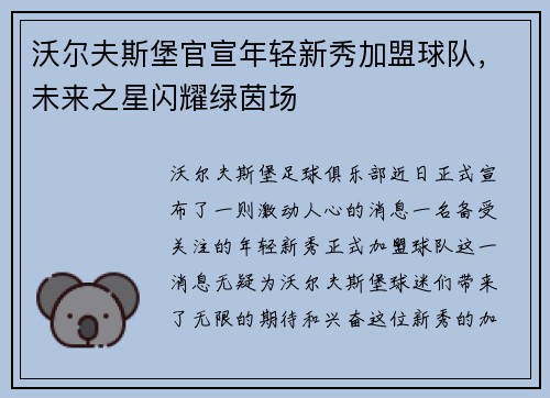 沃尔夫斯堡官宣年轻新秀加盟球队，未来之星闪耀绿茵场