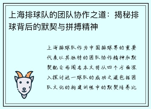 上海排球队的团队协作之道：揭秘排球背后的默契与拼搏精神