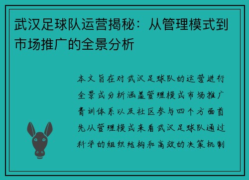 武汉足球队运营揭秘：从管理模式到市场推广的全景分析